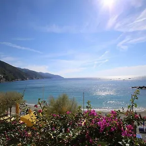 Viviani Raffaella Maison d'hôtes
